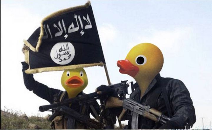 visages djihadistes daech canards 3