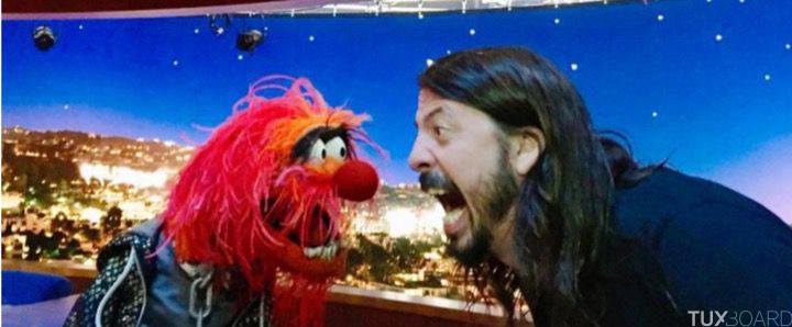 Dave Grohl Muppet Show