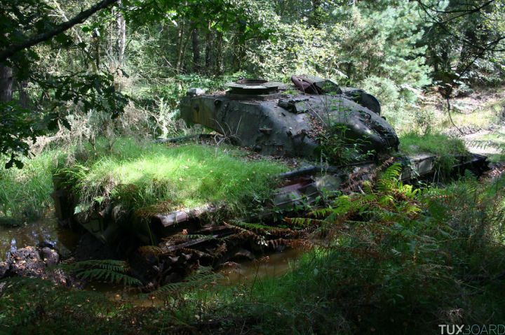 Tanks abandonnes nature (1)