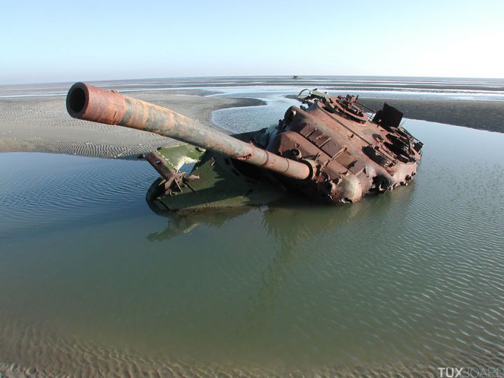 Tanks abandonnes nature (10)