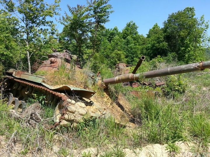 Tanks abandonnes nature (14)