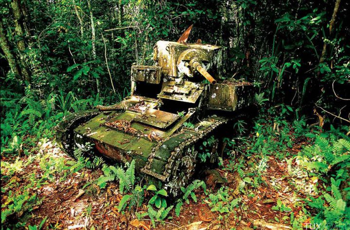 Tanks abandonnes nature (16)