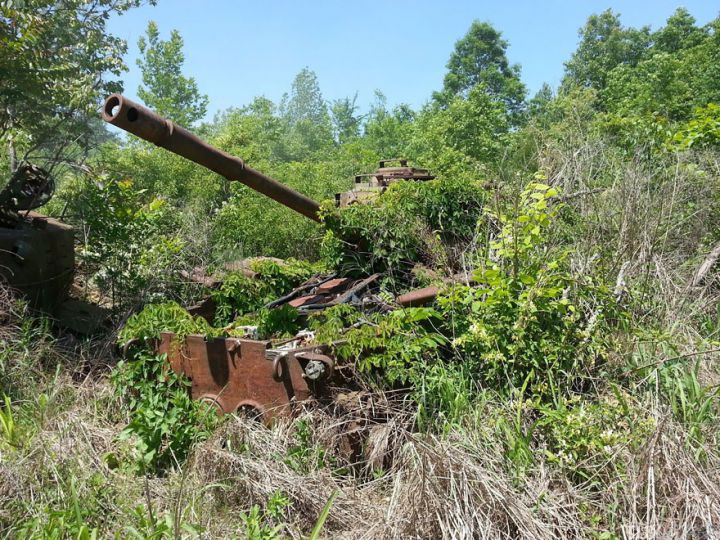 Tanks abandonnes nature (18)