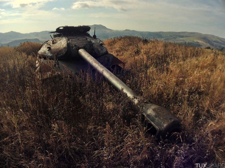 Tanks abandonnes nature (19)