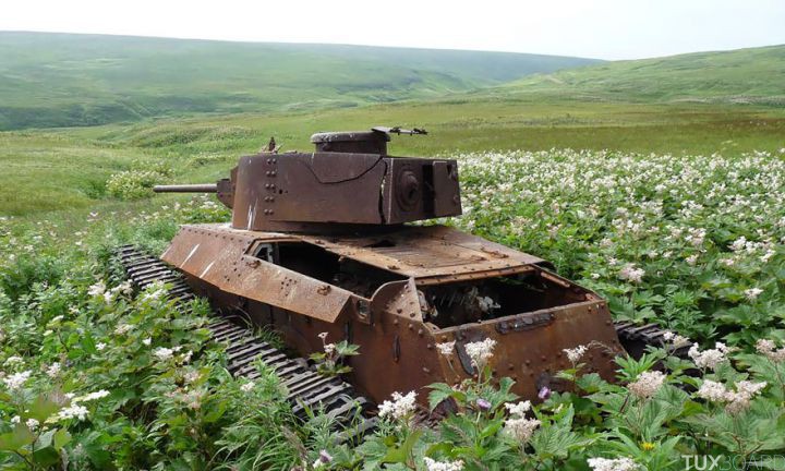 Tanks abandonnes nature (2)