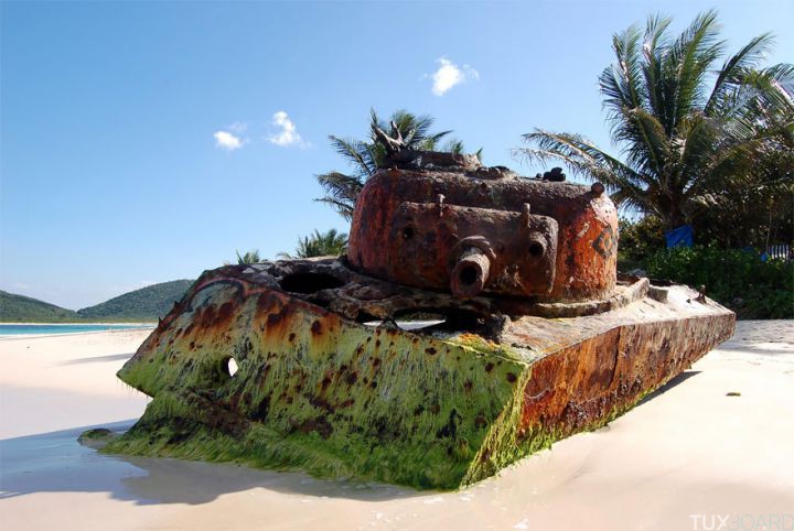 Tanks abandonnes nature (4)