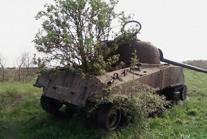 Tanks abandonnes nature (5)