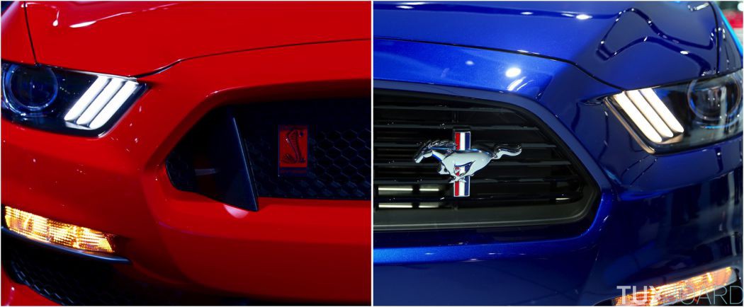 Esprit Ford Mustang