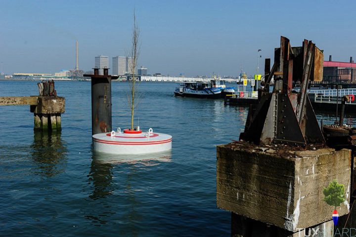 Port Rotterdam foret flottante
