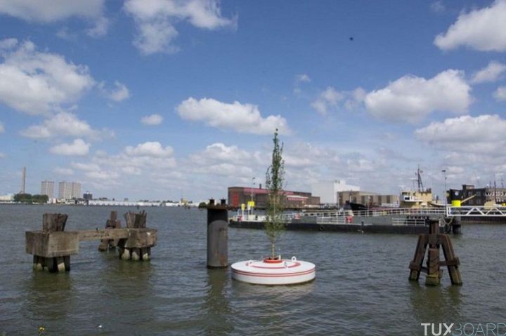 Rotterdam foret flottante