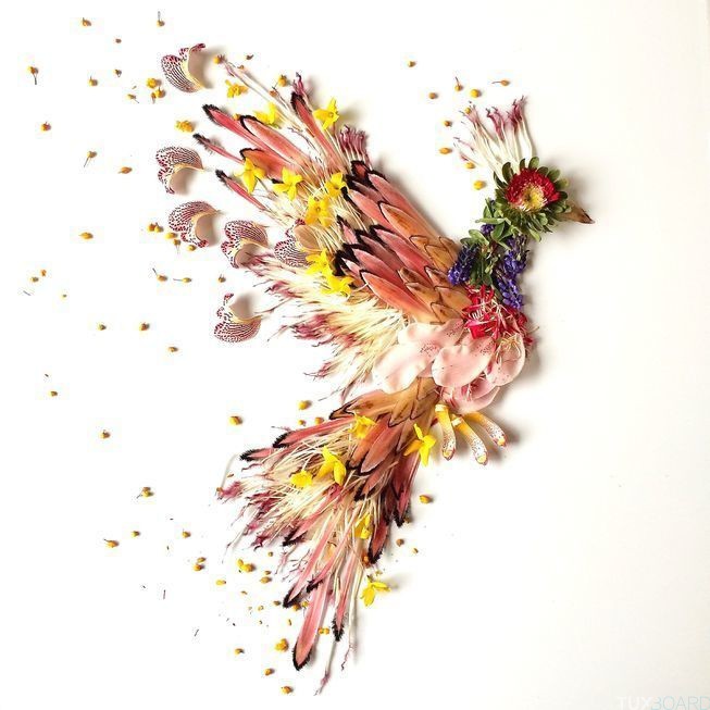 oiseau rose petale de fleurs photo