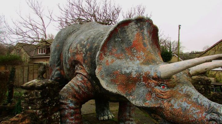 godshill triceratops