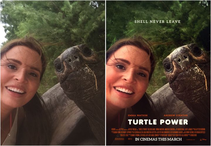 tortue power Your_Post_As_A_Movie