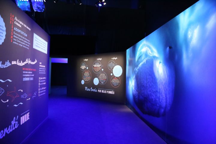 Visite exposition Antarctica Musee Confluences