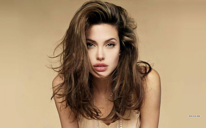 Angelina Jolie Pitt professeur LSE