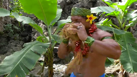 Chef polynesion coco