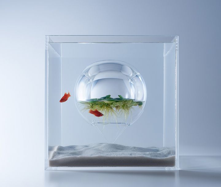 haruka misawa bulle aquariums