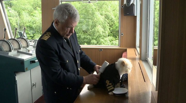 sailor chat capitaine bateau et son maitre