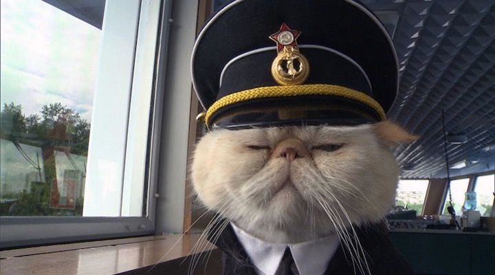 sailor chat persan capitaine bateau