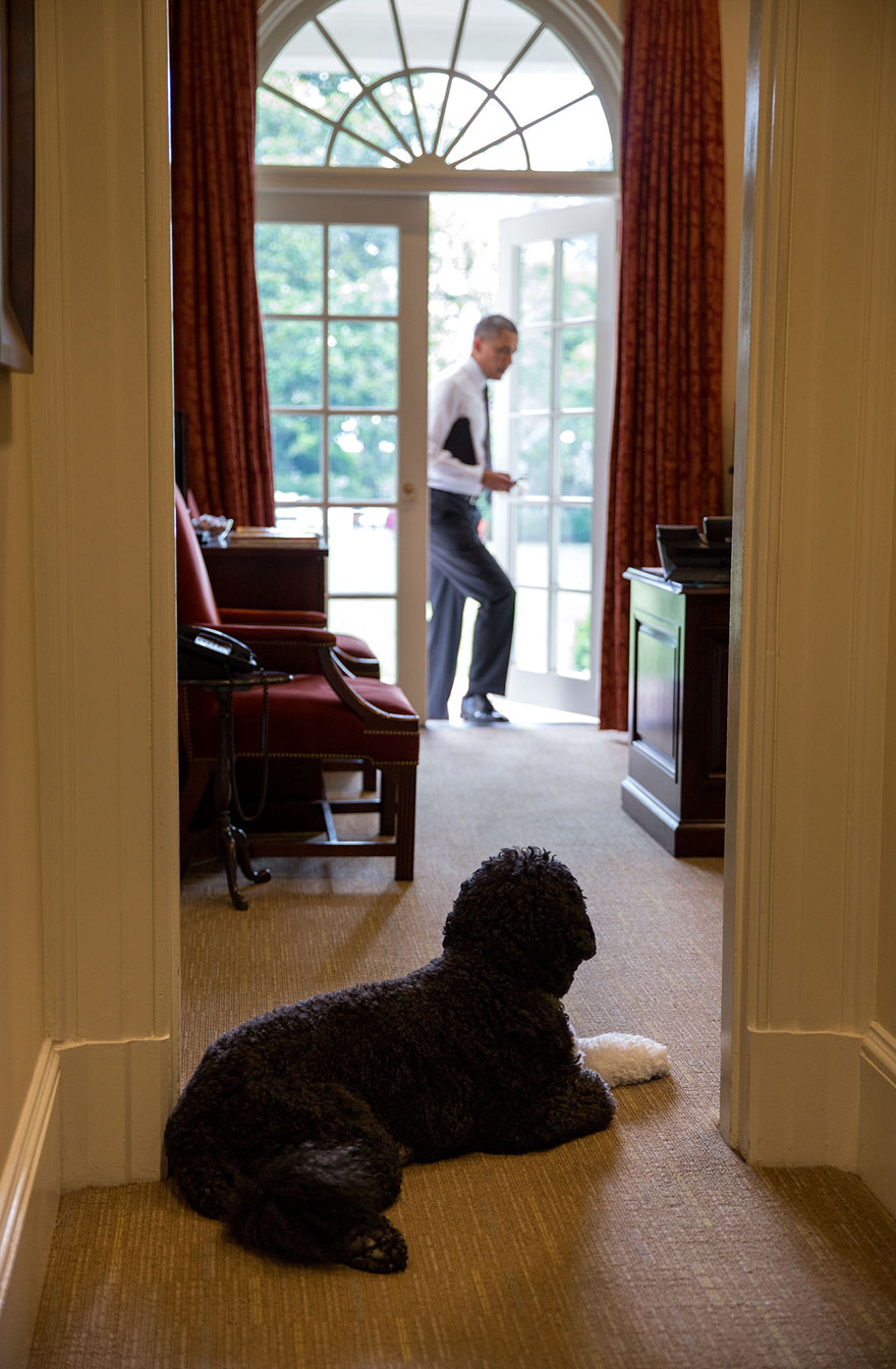 Photographe officiel Barack Obama 66
