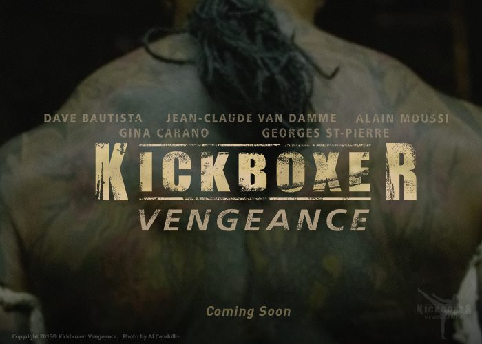 Kickboxer vengeance