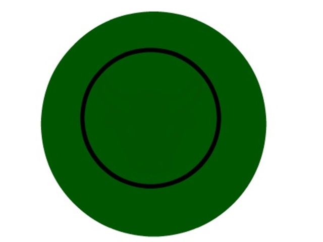test-rond-vert-fonce-solution