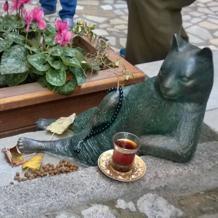 tombili-chat-statue-istanbul-5