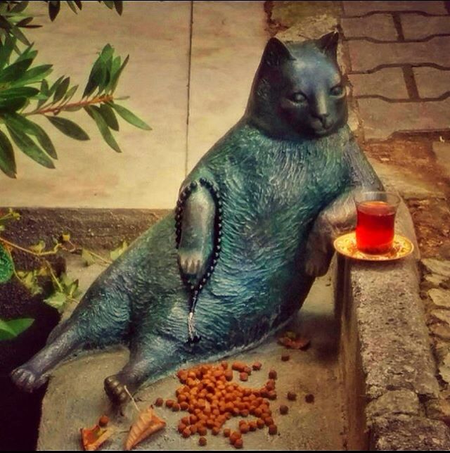 tombili-chat-statue-istanbul-7