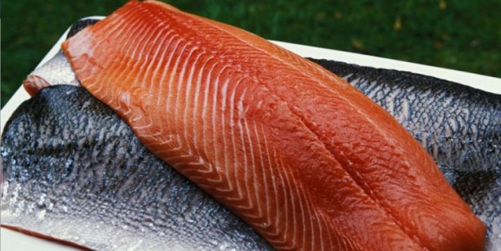 saumon-bio-pollution