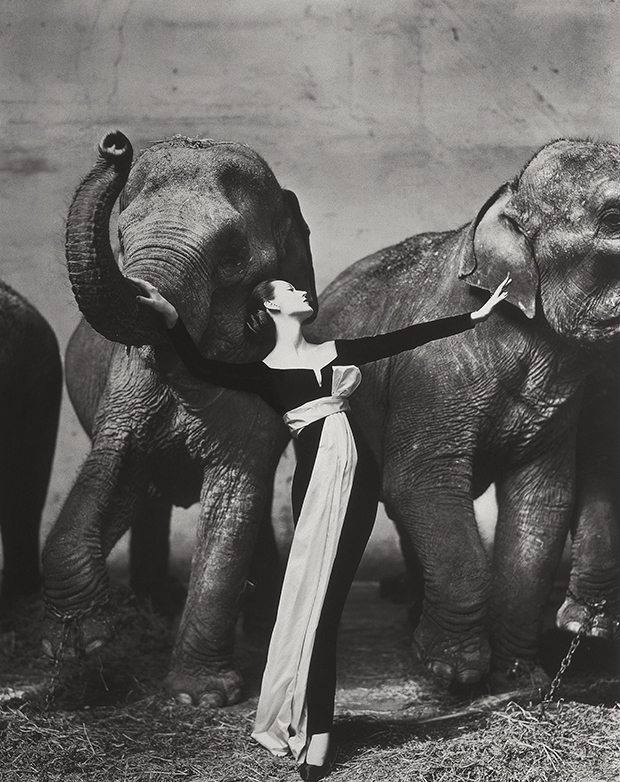 time-dovima-elephants