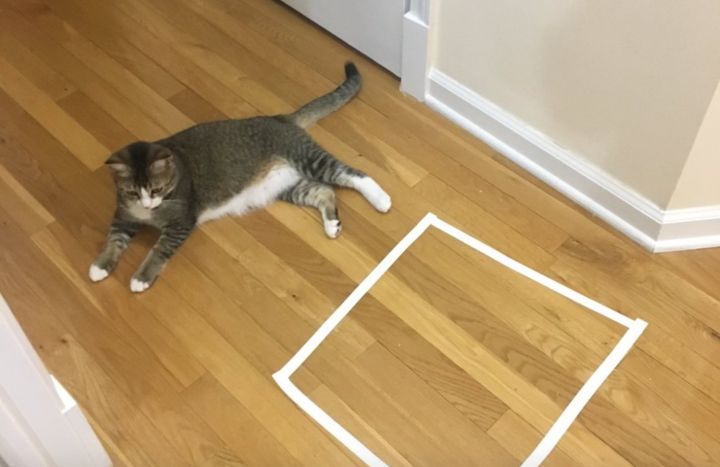 chats rectangle