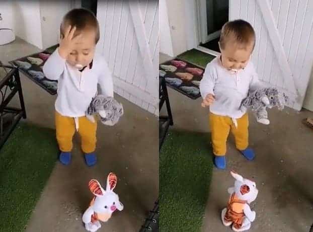 Tandis que l’enfant n’a pas aimé le “chaud” lapin de la vidéo, les internautes par contre ont été amusés
