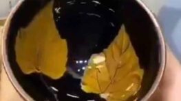 Un bol avec des motifs à feuilles réelles