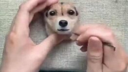 Une miniature d'une tête de chien