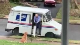 Une relation touchante entre un chien et le facteur