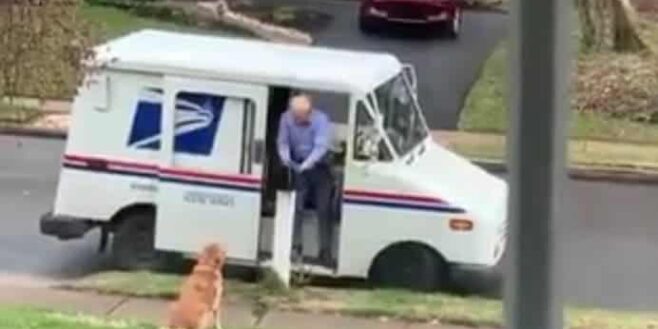 Une relation touchante entre un chien et le facteur