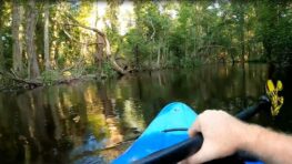 La promenade en kayak de cet homme vire au cauchemar, un alligator l’a soudainement attaqué !