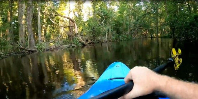 La promenade en kayak de cet homme vire au cauchemar, un alligator l’a soudainement attaqué !