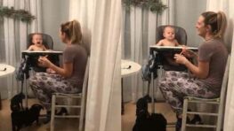 Ce bébé éclate de rire devant sa maman qui fait semblant d’éternuer