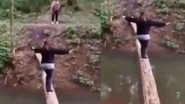 elle tombe dans l’eau après avoir réussi à traverser le cours d’eau en passant par un tronc d’arbre