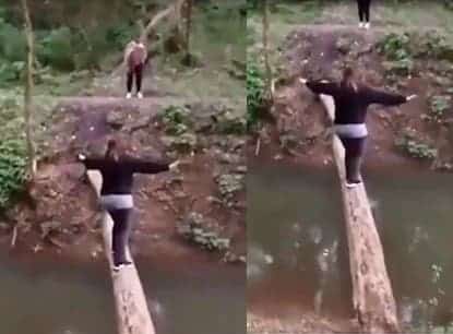 elle tombe dans l’eau après avoir réussi à traverser le cours d’eau en passant par un tronc d’arbre