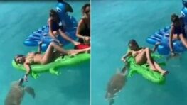 Une tortue de mer empêche cette femme de profiter d'un bon bain de soleil