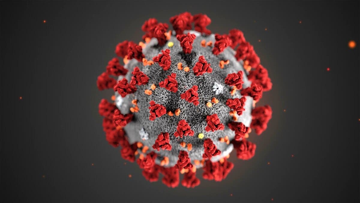Un groupe de scientifiques crée un vaccin intranasal  contre le Coronavirus que tout le monde peut reproduire