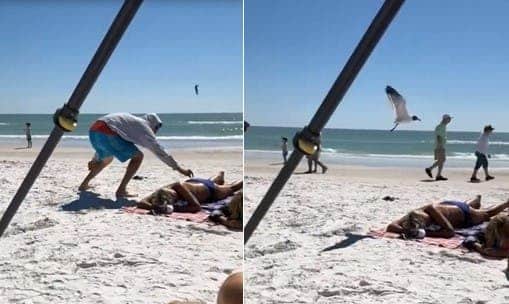 Un homme s’amuse à attirer les oiseaux sur une femme qui profitait du soleil et de la plage