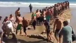 Les vacanciers sauvent un requin qui s’est retrouvé en difficulté sur la plage