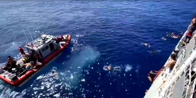 Des garde-côtes américains ont tirés sur des requins qui menaçaient des membres de leur équipe