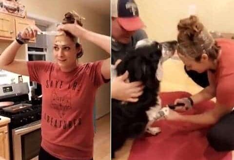 Une astuce simple et efficace pour arriver à couper les ongles d’un chien