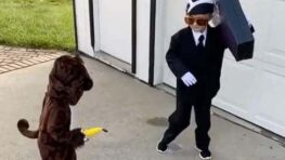 Cet enfant s’est déguisé en Coffin Dance pour Halloween, et c’est très réussi !