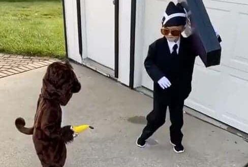 Cet enfant s’est déguisé en Coffin Dance pour Halloween, et c’est très réussi !