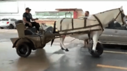 Cette automobile avec une forme hors du commun et tirée par un cheval est-elle la voiture du futur ?